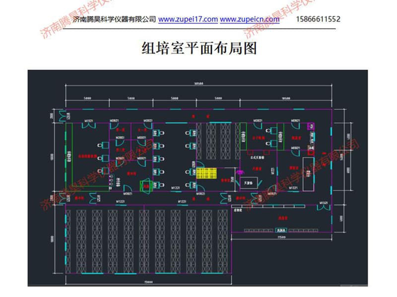 小黄片软件大全室