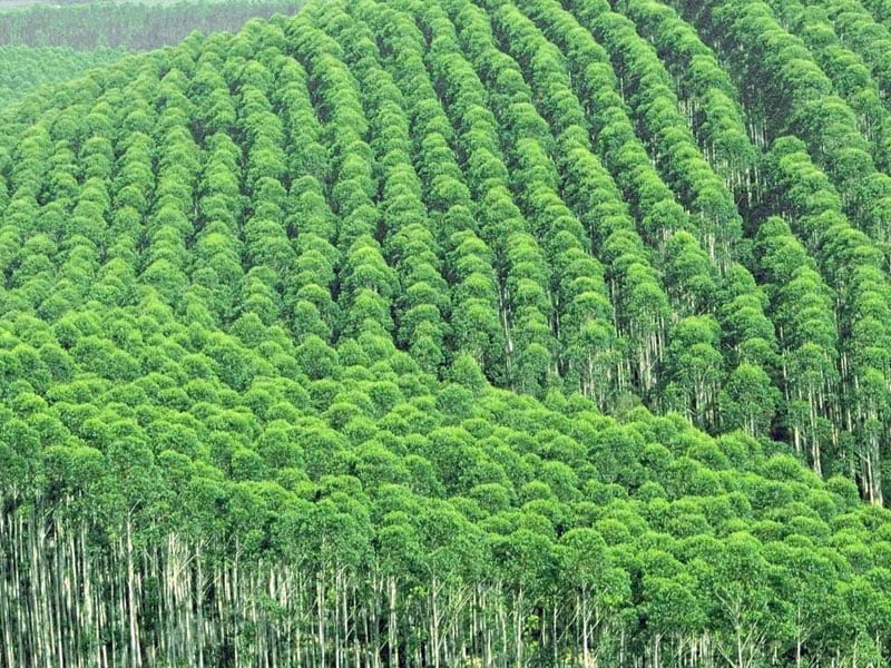 小黄片软件大全