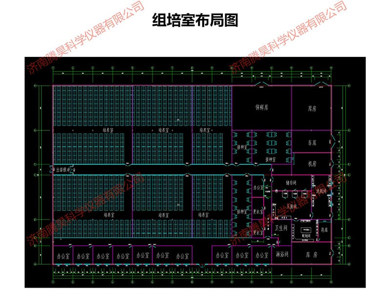 小黄片软件大全室