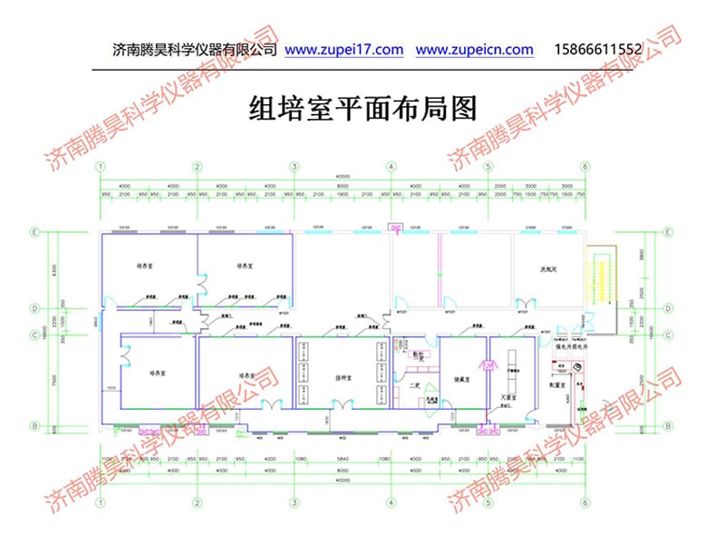 小黄片软件大全室