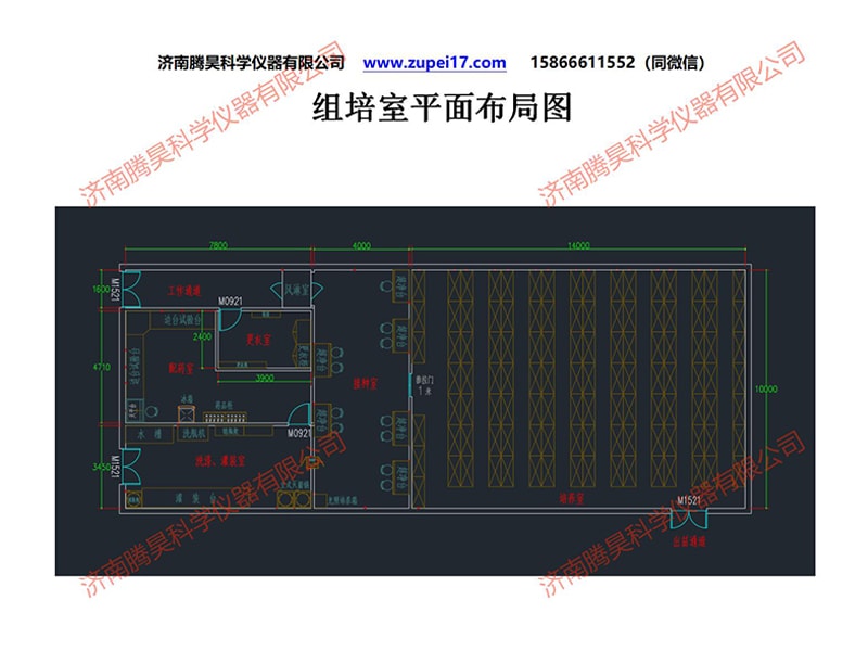 小黄片软件大全室