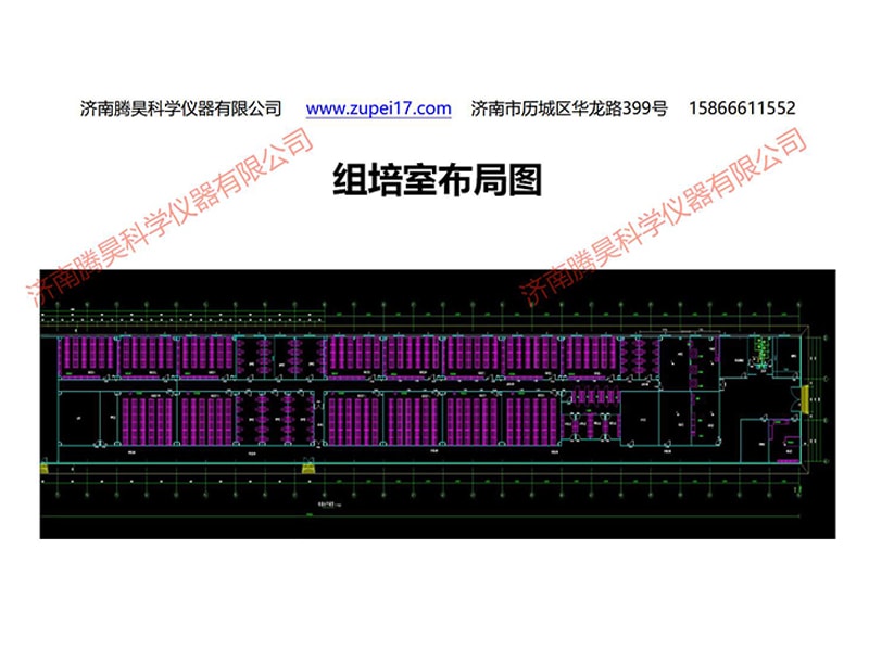 小黄片软件大全  小黄片软件大全室