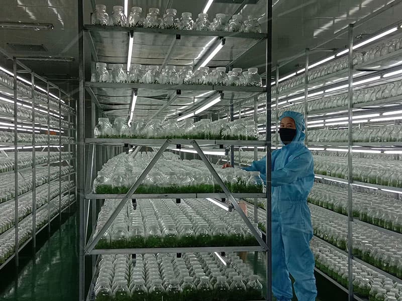 小黄片软件大全  小黄片软件大全架