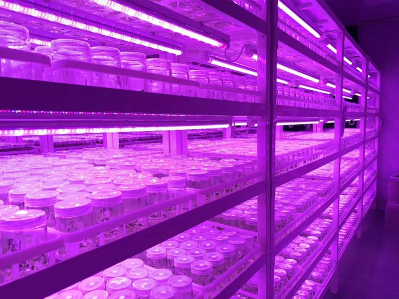 小黄片软件大全  小黄片软件大全架