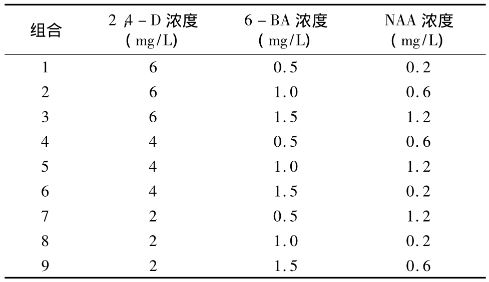 小黄片软件大全實驗室