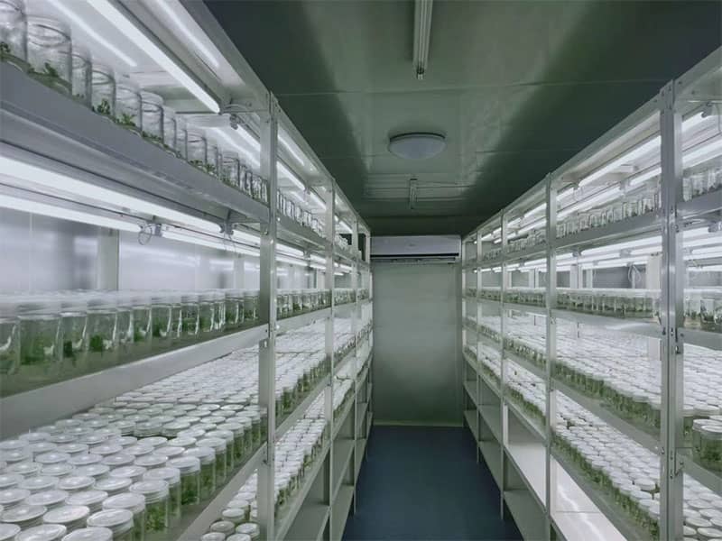 小黄片软件大全  小黄片软件大全架