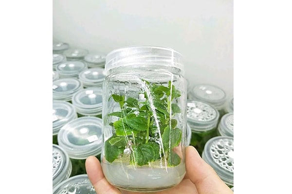 小黄片软件大全設備